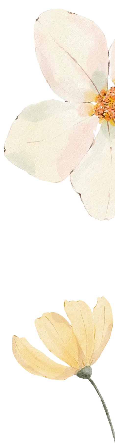 花PC